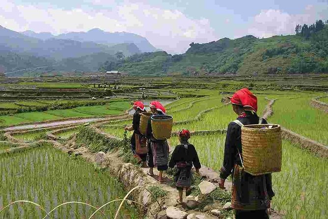 Sapa Private Trekking Through Rice Terraced Fields - 1Day - Why this Sapa trek is worth your day