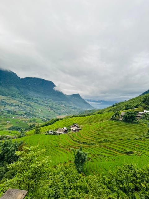 SAPA TREKKING, RICE FIELDS, LOCAL VILLAGES, BAMBOO FOREST - Booking advice and cancellation terms