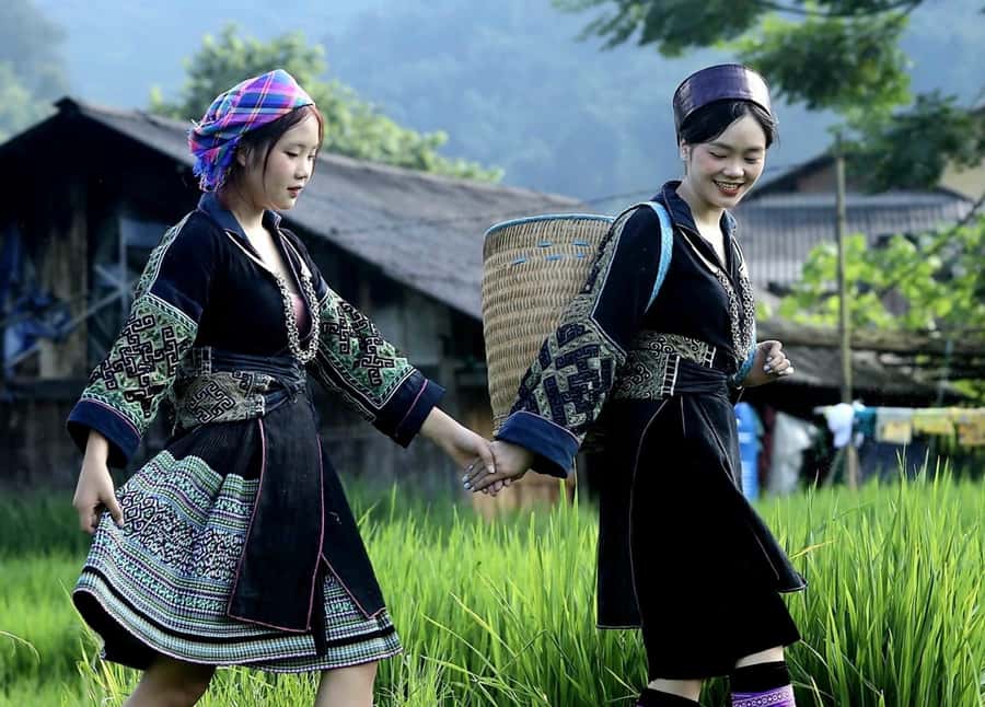 Sapa: Trekking Through Terraced Rice Fields & Valley 1 Day - Y Linh Ho: fields, forest, and mountain air