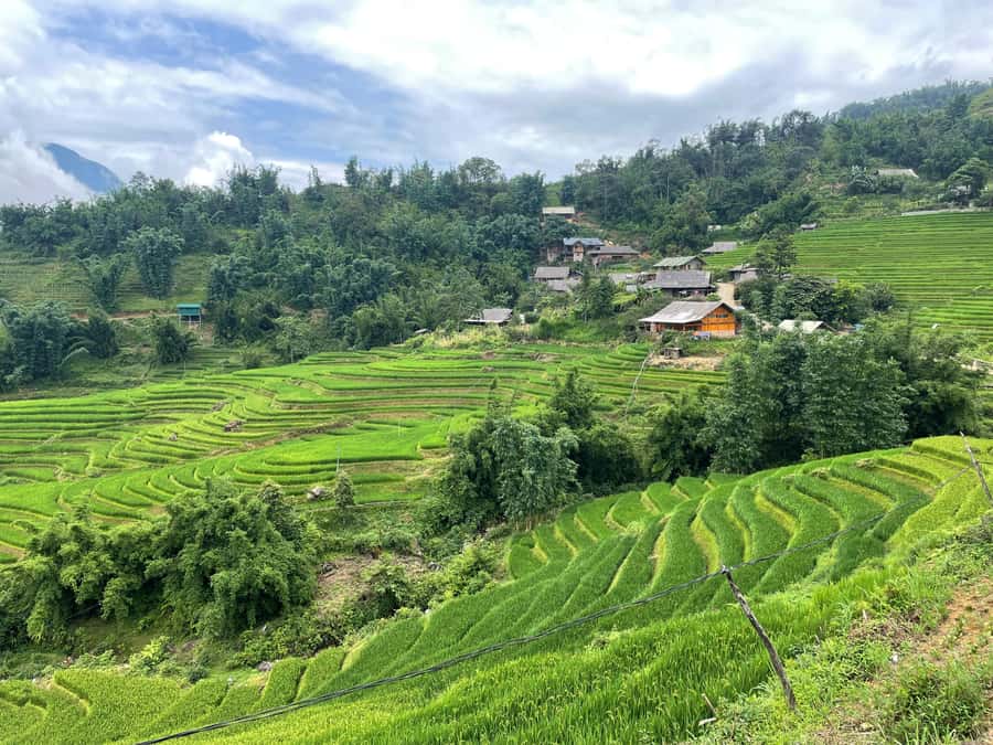 Sapa: Trekking Through Terraced Rice Fields & Valley 1 Day - Ta Van and three ethnic cultures in one valley