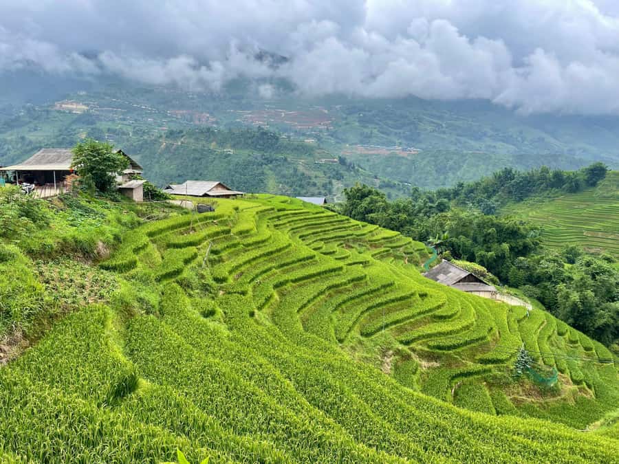 Sapa: Trekking Through Terraced Rice Fields & Valley 1 Day - The return to Sapa around 3:00 PM