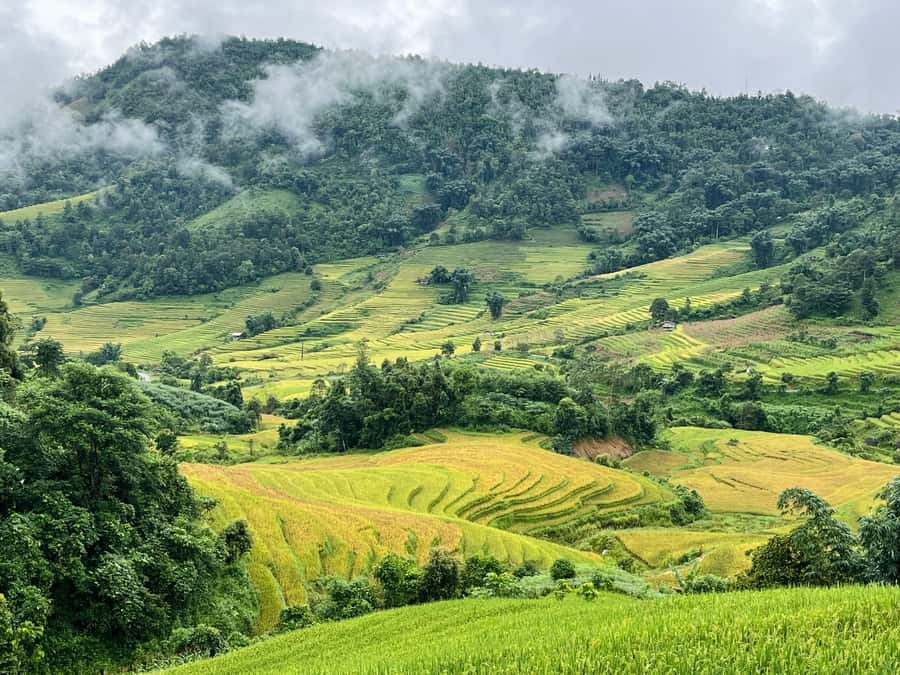 Sapa: Trekking Through Terraced Rice Fields & Valley 1 Day - How difficult is the walking?