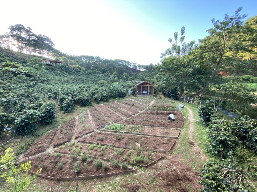 Scented candle workshop at Twin Beans Farm - Da Lat suburb - Decorating your finished candle