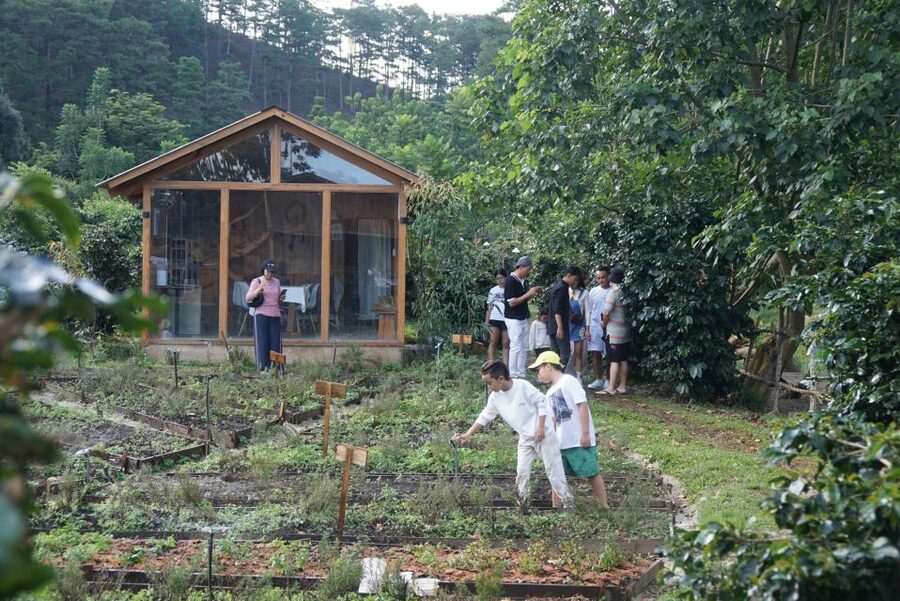 Scented candle workshop at Twin Beans Farm - Da Lat suburb - What the $14 price includes