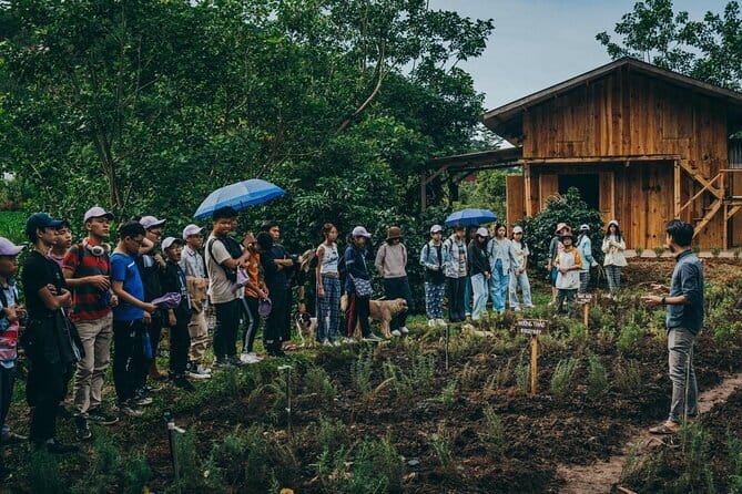 Scented Candle Workshop in Twin Beans Farm Da Lat - Learning how essential oils shape the candle