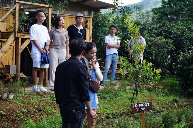 Scented Candle Workshop in Twin Beans Farm Da Lat - Who will enjoy this workshop most