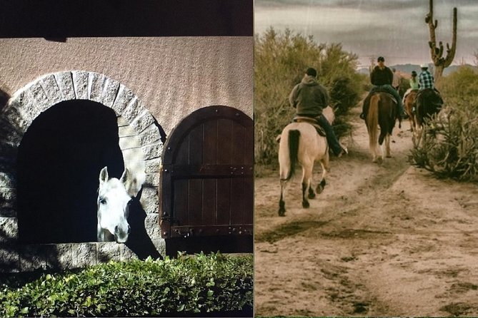 Scottsdale Horseback Riding and Horse Country Estate Tour - Key points to know before booking
