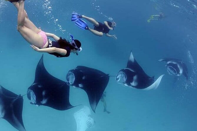 Seaweed Farming Activity and Sightseeing at Diamond Beach - Is $74.19 good value?