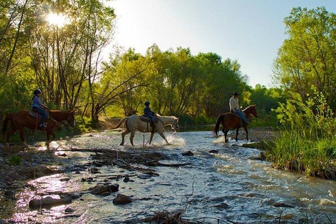 Sedona Horseback Rides At Dead Horse Ranch with River Crossing - Scenery: water, meadows, dust, and distant red rock