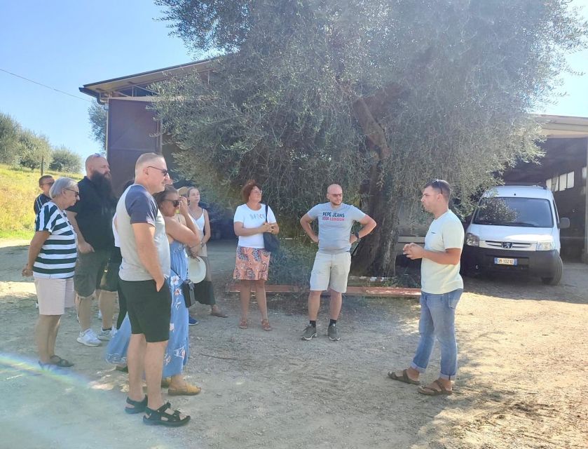 Seggiano: Typical Tuscan Farm Tour with Olive Oil Tasting - Who will enjoy this farm visit most