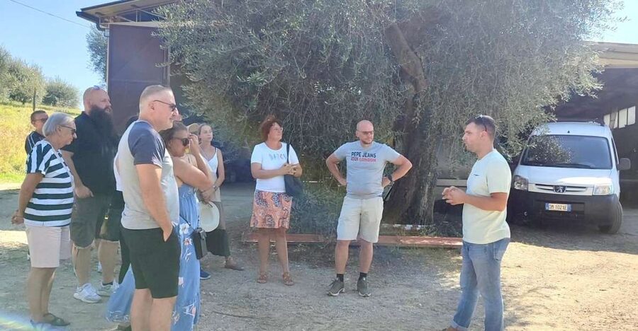 Seggiano: Typical Tuscan Farm Tour with Olive Oil Tasting - From modern milling equipment to the cellar