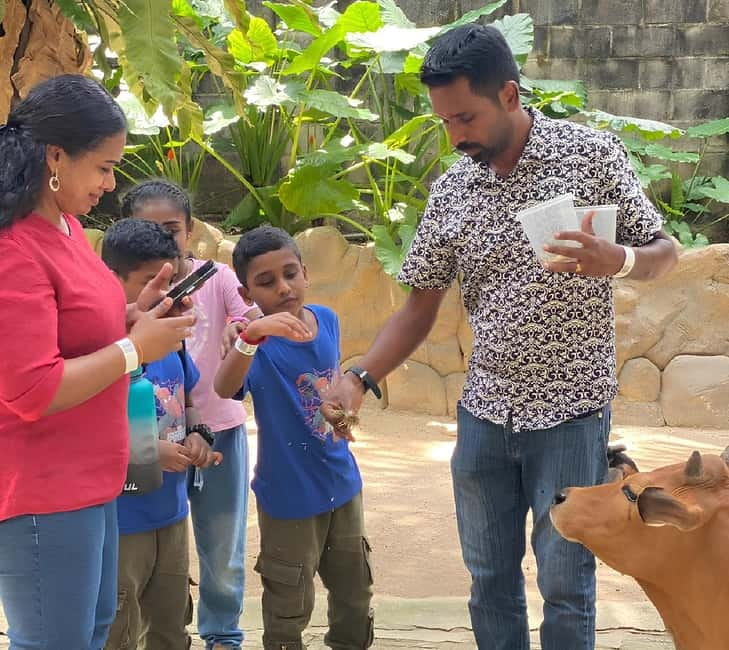 Selangor: Farm In The City Entry Ticket - A practical family outing
