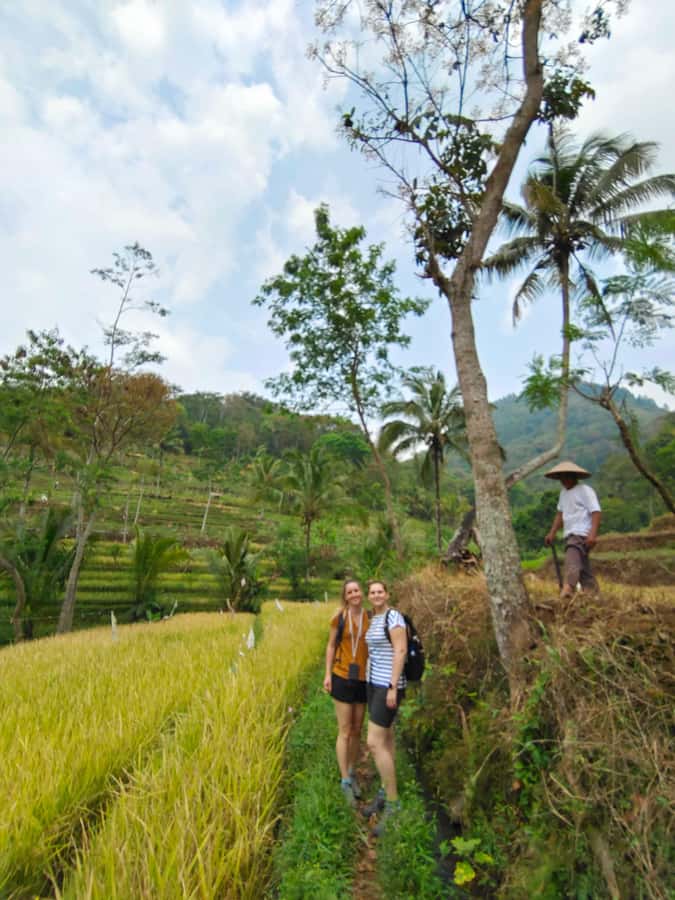 Selogriyo Temple, treking Java Rice Terrace & waterfall - Leaving Yogyakarta for Selogriyo’s rice fields