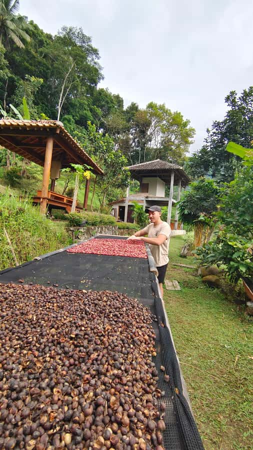 Selogriyo Temple, treking Java Rice Terrace & waterfall - The 1.5-hour road to Kedung Kayang