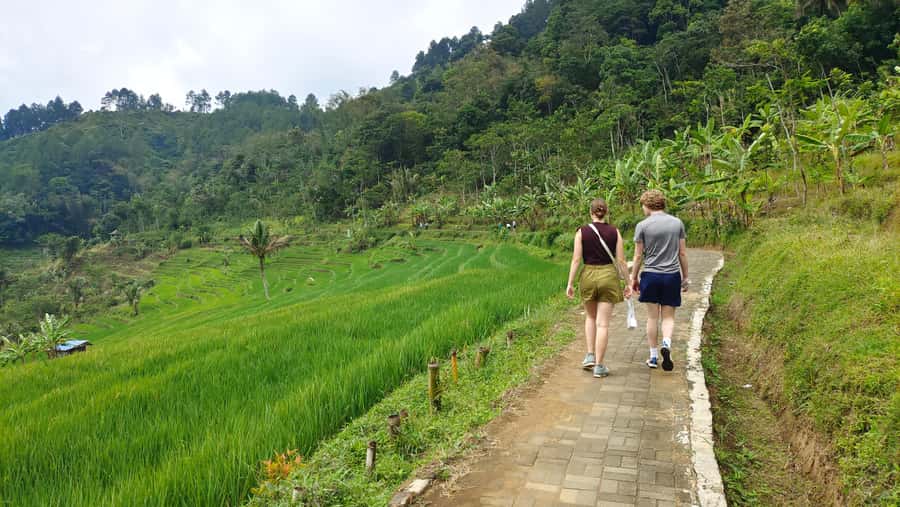 Selogriyo Temple, treking Java Rice Terrace & waterfall - What the $28 price really covers