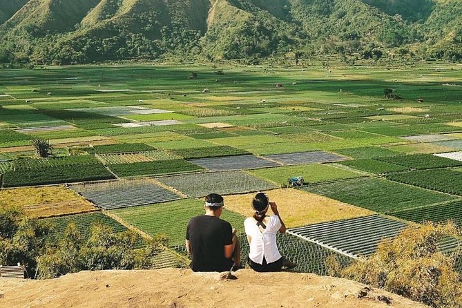 Sembalun Package.. (Special Rice Terrace View) - Key points to know before booking