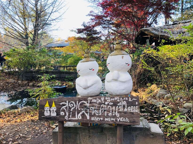 Seoul: Alpaca, Nami, Morning Calm or Eobi (+Rail Bike) - The guides make the busy schedule manageable
