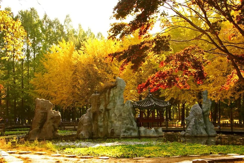 Seoul: Alpaca World and Nami Island (with Garden / Railbike) - What the $83 price really covers