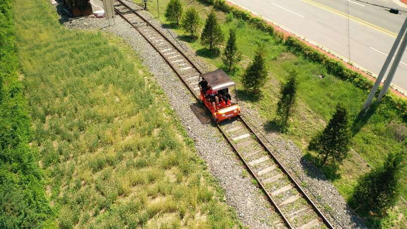 Seoul: Alpaca World and Nami Island (with Garden / Railbike) - Who will enjoy this tour most