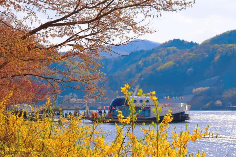 Seoul: Alpaca World & Nami Island optional Gangchon Railbike - Should you book it?