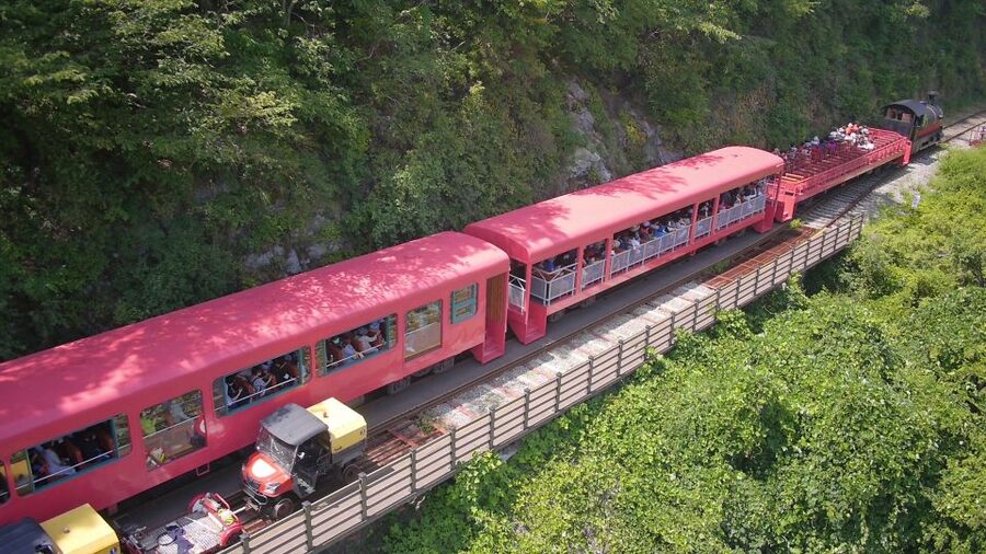 Seoul: Alpaca World & Nami Island optional Gangchon Railbike - The winter Eobi Ice Valley variation