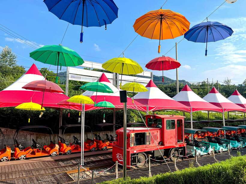 Seoul: Alpaca World & Nami Island optional Gangchon Railbike - What the $71 price really covers