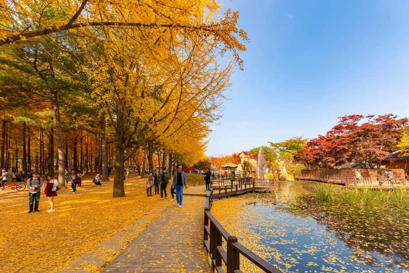 Seoul: Alpaca World & Nami Island optional Gangchon Railbike - The practical rhythm of the day