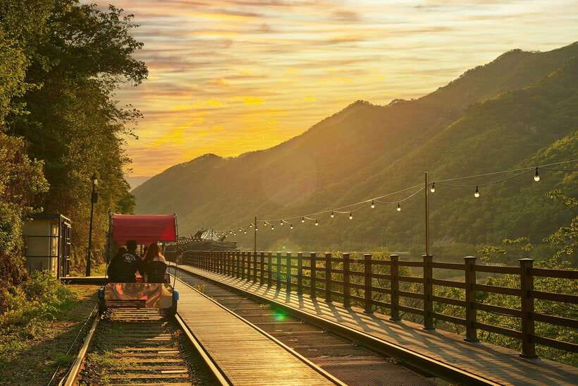Seoul: Alpaca World & Nami Island optional Gangchon Railbike - Who should book this experience
