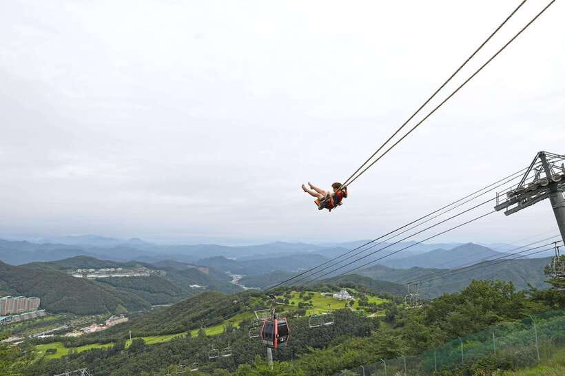 Seoul: Alpaca World, Railbike & Vivaldi Park Experience Tour - What the $86 price really covers
