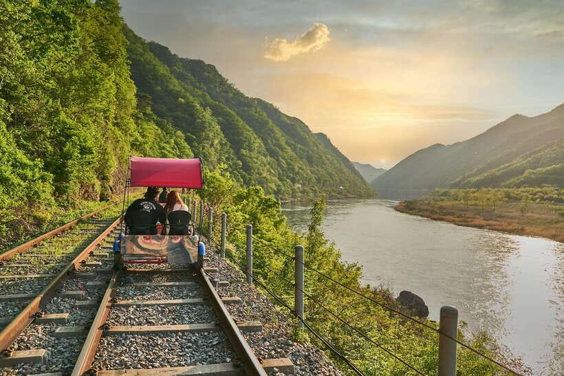 Seoul: Alpaca World, Railbike & Vivaldi Park Experience Tour - Practical tips for a smoother day