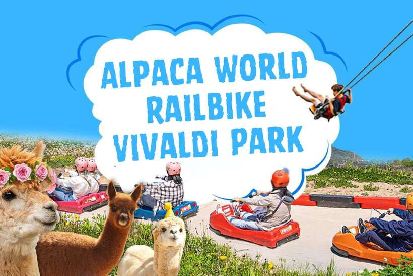 Seoul: Alpaca World, Railbike & Vivaldi Park Experience Tour - Starting from Seoul without a complicated transfer