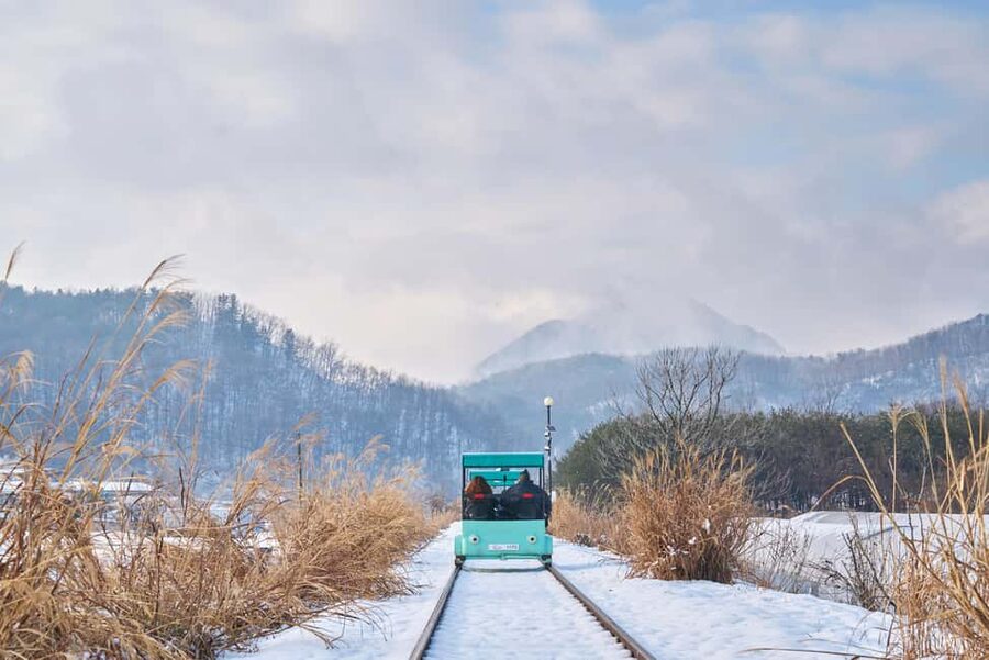 Seoul: Eobi Ice Valley, Alpaca World, Nami Island and More - Why this day works beyond Seoul