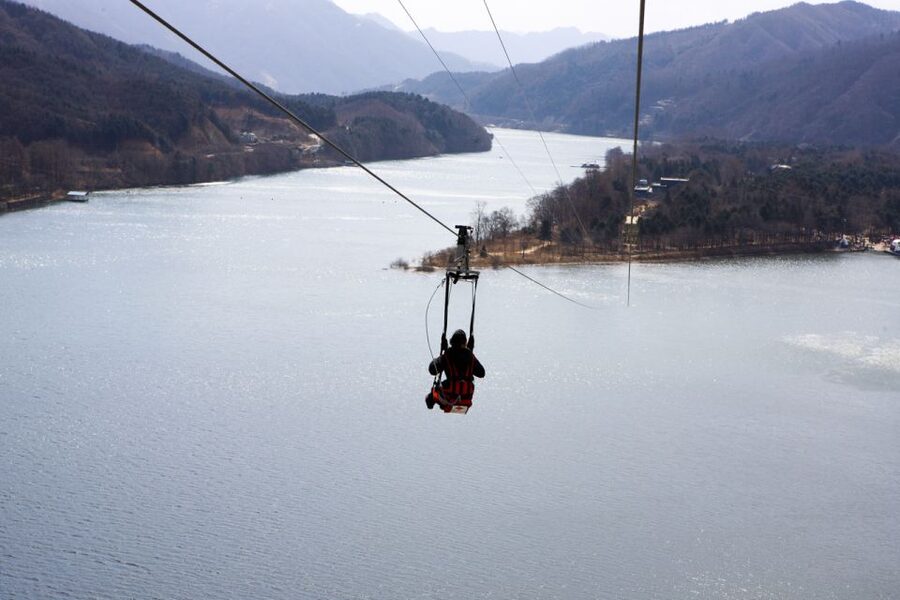 Seoul: Eobi Ice Valley, Alpaca World, Nami Island and More - Who should book this tour