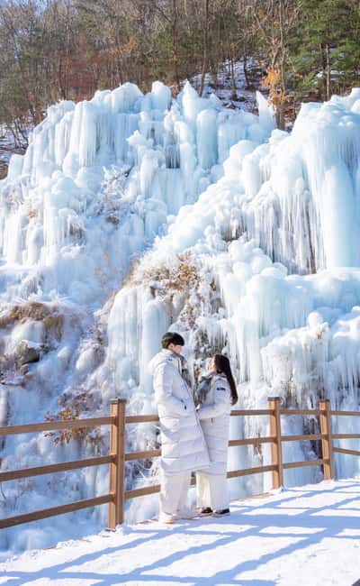 Seoul: Eobi Ice Valley, Alpaca World, Nami Island and More - Choose the Garden of Morning Calm for a quieter finish