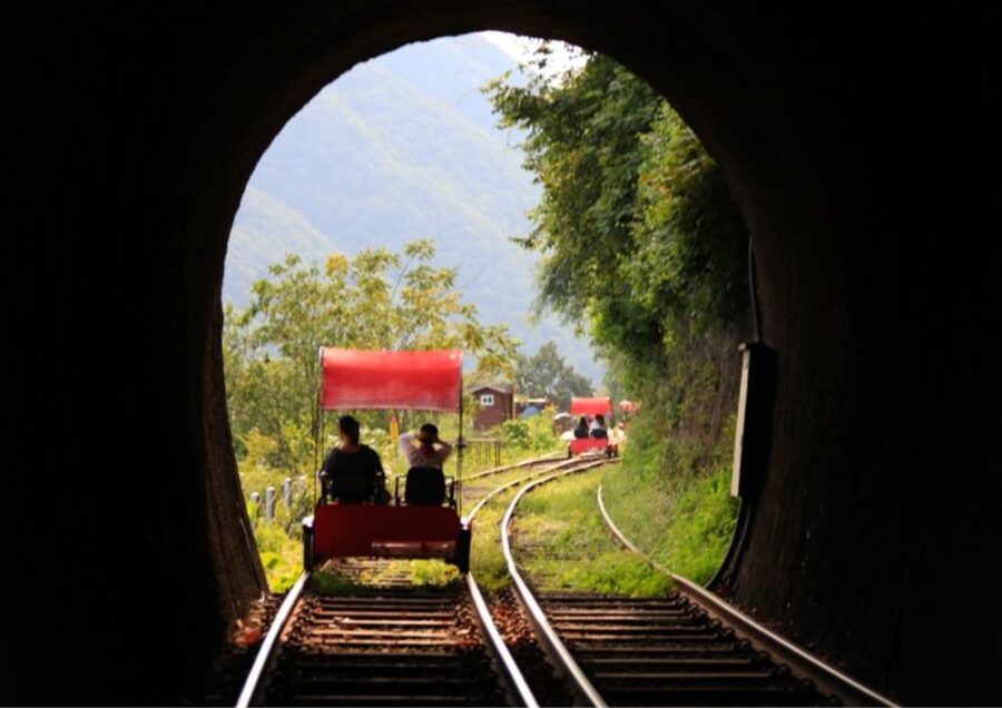 Seoul: Gangwon-do Day Trip with Alpaca World & Nami Island - Lunch and the move to Nami Island