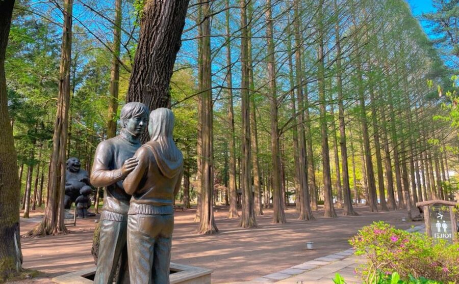 Seoul: Gangwon-do Day Trip with Alpaca World & Nami Island - Or choose the Garden of Morning Calm