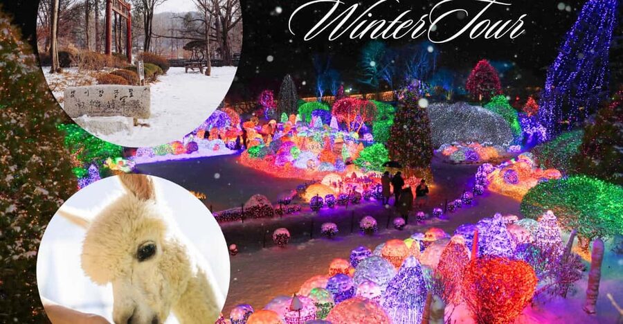 Seoul: Nami and K-Garden with Optional Alpaca Winter Tour - Key points at a glance