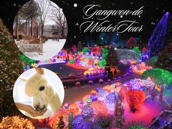 Seoul: Nami and K-Garden with Optional Alpaca Winter Tour - Why this makes a strong winter day trip from Seoul