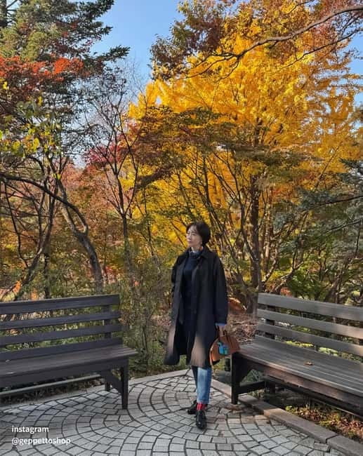 Seoul: Nami Island, Alpaca World, Morning Calm Garden - The road home and the real length of the day