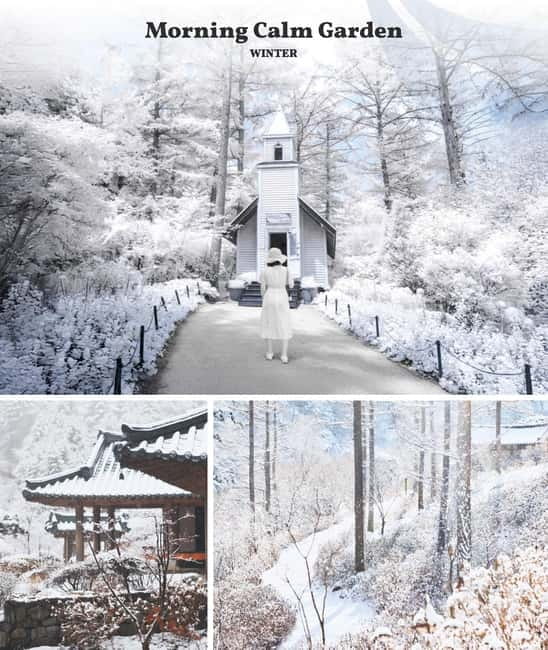 Seoul: Nami Island & Alpaca World & Railbike (+Healing Park) - How to prepare for a long countryside day