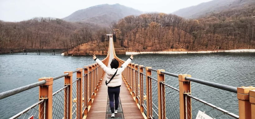 Seoul: Private Taxi Tour Car Charter - Nami Alpaca Seorak - Seoul routes, from palaces to modern districts
