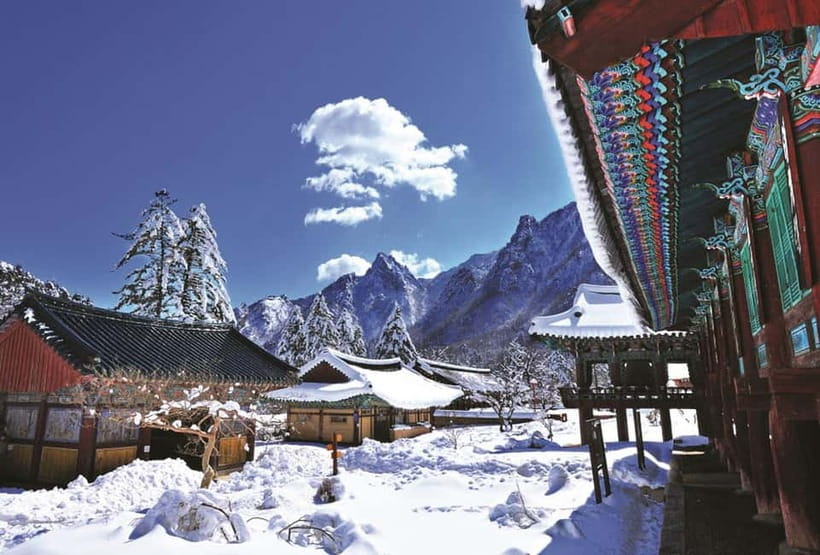 Seoul: Private Taxi Tour Car Charter - Nami Alpaca Seorak - Seoraksan, Sokcho, and the Gangwon-do coast