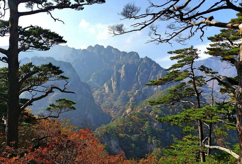 Seoul: Private Taxi Tour Car Charter - Nami Alpaca Seorak - The driver matters more than the brochure