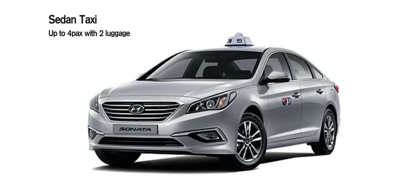 Seoul: Private Taxi Tour Car Charter - Nami Alpaca Seorak - Practical limits and who should book
