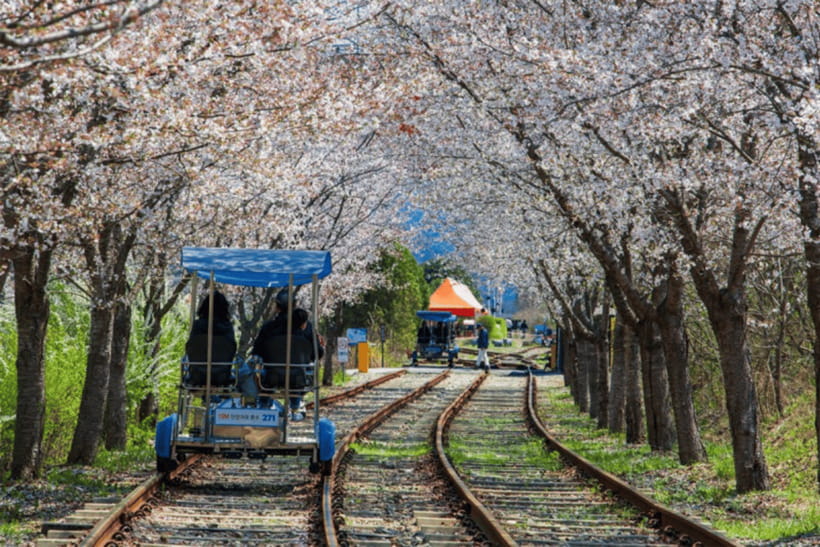 Seoul: Samaksan Cable Car & Nami with Alpaca World/Railbike - The summer alternative, Chuncheon Mulle-gil