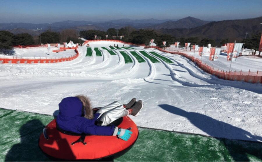 Seoul: SnowyLand in Vivaldi Park with Nami or Alpaca - Choosing between Nami Island and Alpaca World