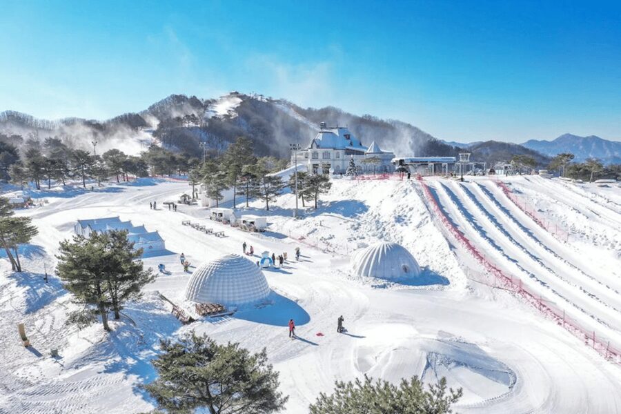 Seoul: SnowyLand in Vivaldi Park with Nami or Alpaca - The bus ride and full-day rhythm