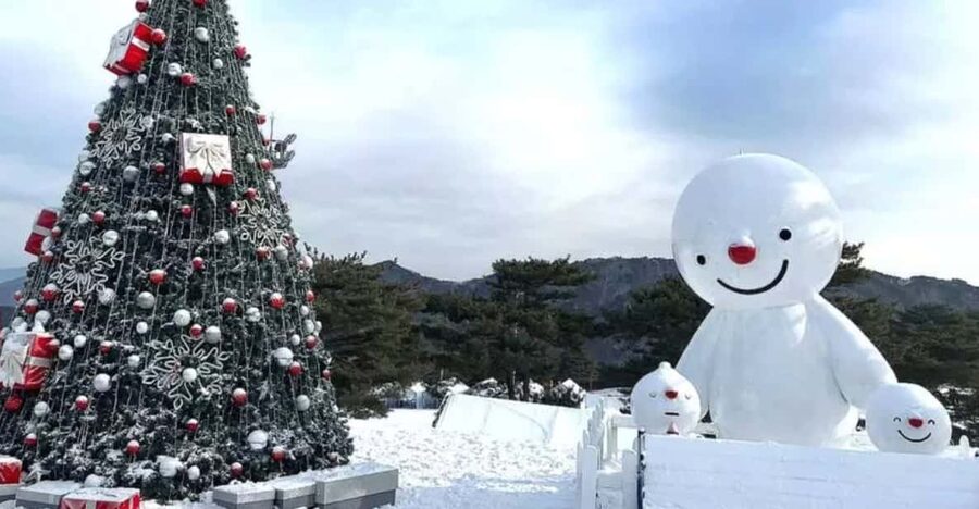Seoul: SnowyLand in Vivaldi Park with Nami or Alpaca - Is the $70 price good value?