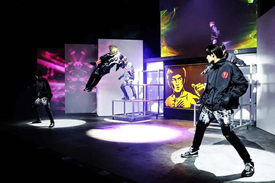 Seoul: The Painter Show with Nami Island or Alpaca World - A countryside day with a stage-show finish