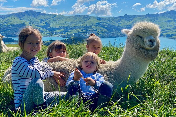 Shamarra Alpaca Farm Tours - Transport is the detail you should not overlook